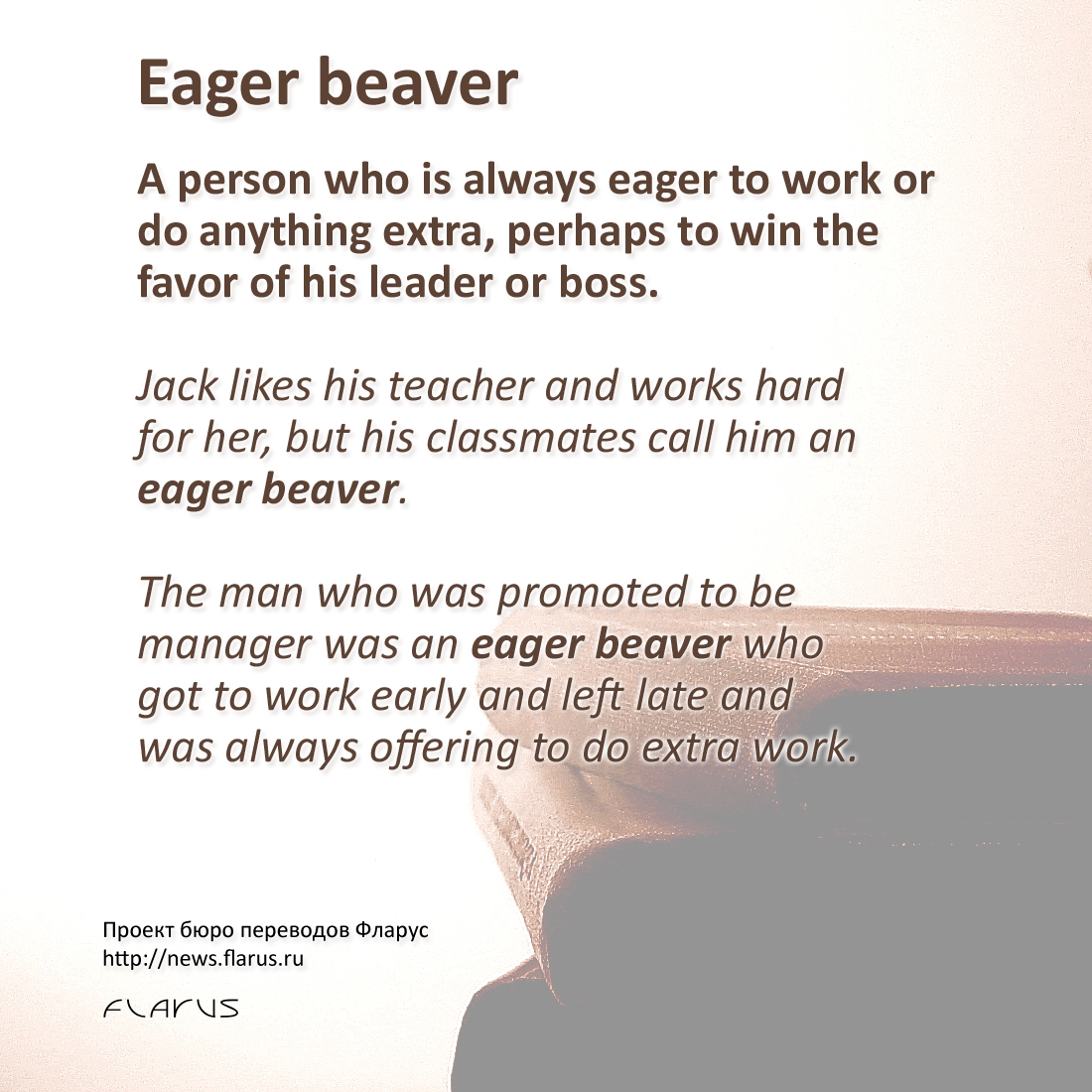 eager beaver